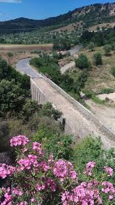 PONTE DEL VARCO, U.DI.CON.: “SOLO DISAGI AI CITTADINI DA PIU’ DI UN ANNO, BISOGNA INTERVENIRE”