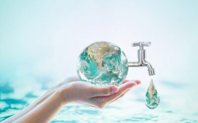 “Risparmio idrico, U.Di.Con. Calabria: “Promuovere un uso responsabile dell’acqua per affrontare la sfida dei cambiamenti climatici”