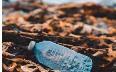 Pulizia spiagge, Udicon Calabria: “Silenzio incomprensibile dal Comune di Riace sulla nostra iniziativa SOSAMARE”